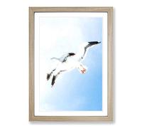 Seagulls in Flight in Abstract Framed Print | A2 Oak Framed Wall Art | Ready to Hang | Abstract Animal Picture | Living Room Bedroom Lounge Office