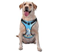 Seagulls in Flight Medium Printed pet Traction Vest for Pets to wear When Walking The Dog or Climbing Mountains