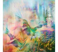 Seahawks - Time Enough For Love [VINYL]