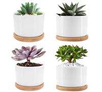 Seahelms Small Ceramic Plant Pot 7.5cm Succulent Plant Pot with Drainage Hole and Saucer indoor Plant Pots Perfect for Home Office Decoration, Set of 4 (No Plants)