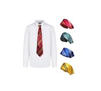 SeaHey Striped Magic Wizard Tie - Multicolored Necktie for Halloween Carnival School Accessory - Christmas Gifts