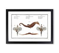 Seahorse & Sea Dragon by M.E. Bloch Framed Print | A2 Black Framed Wall Art | Ready to Hang | Modern Animal Picture | Living Room Bedroom Lounge Office