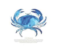 SeaKisses Crab A4 SeaLife Print Unframed