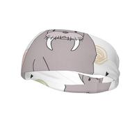 Seal And Walrus PatternHair Bands for Men Woman Headband Running Headband Sweat Wicking Gym