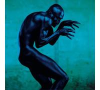 Seal - Human Being