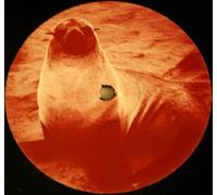 Seal - Killer (Lexicon Avenue Mix)