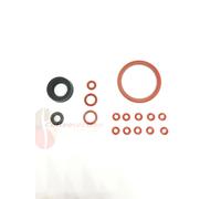 Seal kit for Philips Saeco Aulika Xelsis Exprelia Primea Energica brewing unit