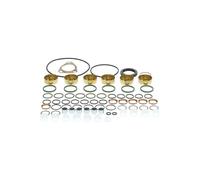 Bosch Injector Pump Repair Seal kit 2417010010 / 2 417 010 010 1108793 862425