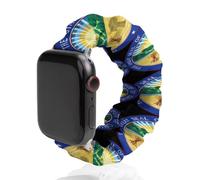 Seal of Ohio Printed Scrunchie Watch Band Compatible with IWatch Soft Elastic Replacement Straps