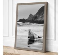 Seal on the Shore Coastal Canvas Wall Art Print 24x16 Inch (61 x 41 cm)