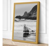 Seal on the Shore Coastal Canvas Wall Art Print 24x16 Inch (61 x 41 cm)