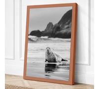 Seal on the Shore Coastal Canvas Wall Art Print 30x20 Inch (76 x 51 cm)