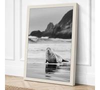 Seal on the Shore Coastal Canvas Wall Art Print 36x24 Inch (91 x 61 cm)