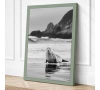 Seal on the Shore Coastal Canvas Wall Art Print 36x24 Inch (91 x 61 cm)
