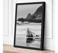 Seal on the Shore Coastal Canvas Wall Art Print 36x24 Inch (91 x 61 cm)