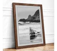 Seal on the Shore Coastal Framed Wall Art Print A1 (84.1×59.4cm) Walnut, Wall Decor for Living Room, Bedroom, Office & Home, Ready to Hang, Art Gift