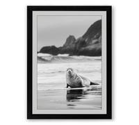 Seal on the Shore Coastal Framed Wall Art Print A2 (59.4×42cm) Black, Wall Decor for Living Room, Bedroom, Office & Home, Ready to Hang, Art Gift
