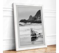 Seal on the Shore Coastal Framed Wall Art Print A3 White