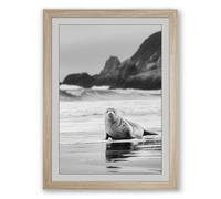 Seal on the Shore Coastal Framed Wall Art Print A4 (29.7×21cm) Oak, Wall Decor for Living Room, Bedroom, Office & Home, Ready to Hang, Art Gift
