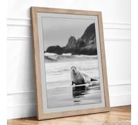 Seal on the Shore Coastal Framed Wall Art Print A4 Oak
