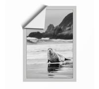 Seal on the Shore Coastal Unframed Wall Art Print A3 (42×29.7cm), Wall Decor for Living Room, Bedroom, Office & Home, Art Gift