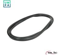 SEAL REAR WINDOW 5703-04-6037819Q FOR RENAULT F3P712/758/710/714F7P 722 1.8L