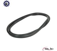 SEAL REAR WINDOW 5703-04-6037819Q FOR RENAULT F3P712/758/710/714F7P 722 1.8L