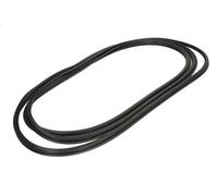 Seal, rear window BLIC 5703-04-6038004Q for TRANSPORTER T4 Van 2 1990-2003