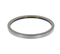 Seal Ring 170mm Inner Diameter Fits LAVERDA NEW HOLLAND CORTECO 82013074