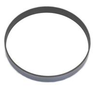 Seal Ring 170mm Inner Diameter For MASSEY FERGUSON LANDINI DANA CORTECO 82014158