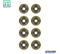 SEAL SET VALVE STEM 12-35893-01 FOR 4AB/4BA/4BC/4CA/4CC/4DA/4EA/4FA/4EB 2.5L