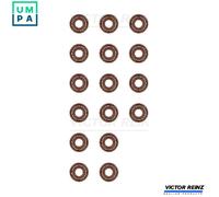 REINZ 12-52738-01 Valve stem seal set
