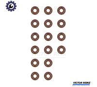 REINZ 12-52738-01 Valve stem seal set