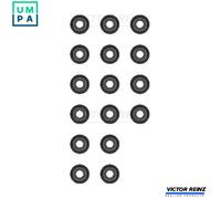 2x ✅Fits REINZ 12-53457-02 Seal Set, valve stem 12-53457-02 Valve st ⭐UK Seller⭐