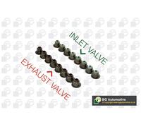 Seal Set, valve stem for CHEVROLET DAEWOO GEO SUZUKI:TICO,MATIZ,SPARK,METRO