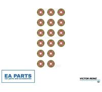 Seal Set, valve stem for CITROËN BERLINGO C2 C3 C4 VICTOR REINZ 12-36587-01