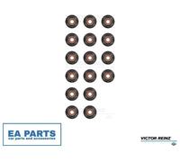 Seal Set, valve stem for FORD C-MAX FOCUS GALAXY KUGA VICTOR REINZ 12-34399-02