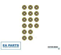 Seal Set, valve stem for PEUGEOT 1007 206 207 307 VICTOR REINZ 12-38538-01