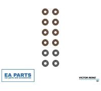 Seal Set, valve stem for TOYOTA STARLET VICTOR REINZ 12-52782-01