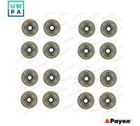 SEAL SET VALVE STEM HR752 FOR 18K4F/K4C/K4G 1.8L 16 K4F 1.6L 18K4K/K4F 1.8L 4cyl