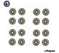 SEAL SET VALVE STEM HR752 FOR 18K4F/K4C/K4G 1.8L 16 K4F 1.6L 18K4K/K4F 1.8L 4cyl