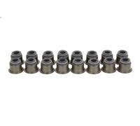 Seal Set, valve stem REINZ 12-53449-01 for ISUZU TROOPER III 3 1998-2004