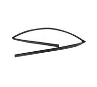 Seal Strip Car Window Glass Mud Channel Lifting Guide Rubber Sealing Strip for Accord 2008 2009 2010 2011 2012 Rubber Trim(Rear L)