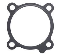 SEAL, THROTTLE BODY