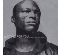 Seal - Waiting for You