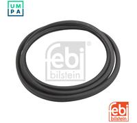 SEAL WINDSCREEN 02792 FOR VW GOLF//Cabriolet JETTA CARIBE ATLANTIC RABBIT 1.5L