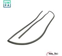 BLIC 5703-04-6037668Q Windscreen seal