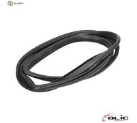 BLIC 5703-04-6037712Q Windscreen seal
