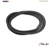Windscreen gaske BLIC 5703-04-6037966Q for TOYOTA YARIS (_P9_) 1 2005-2011