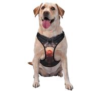 Sealed White Rose Large Printed pet Traction Vest for Pets to wear When Walking The Dog or Climbing Mountains